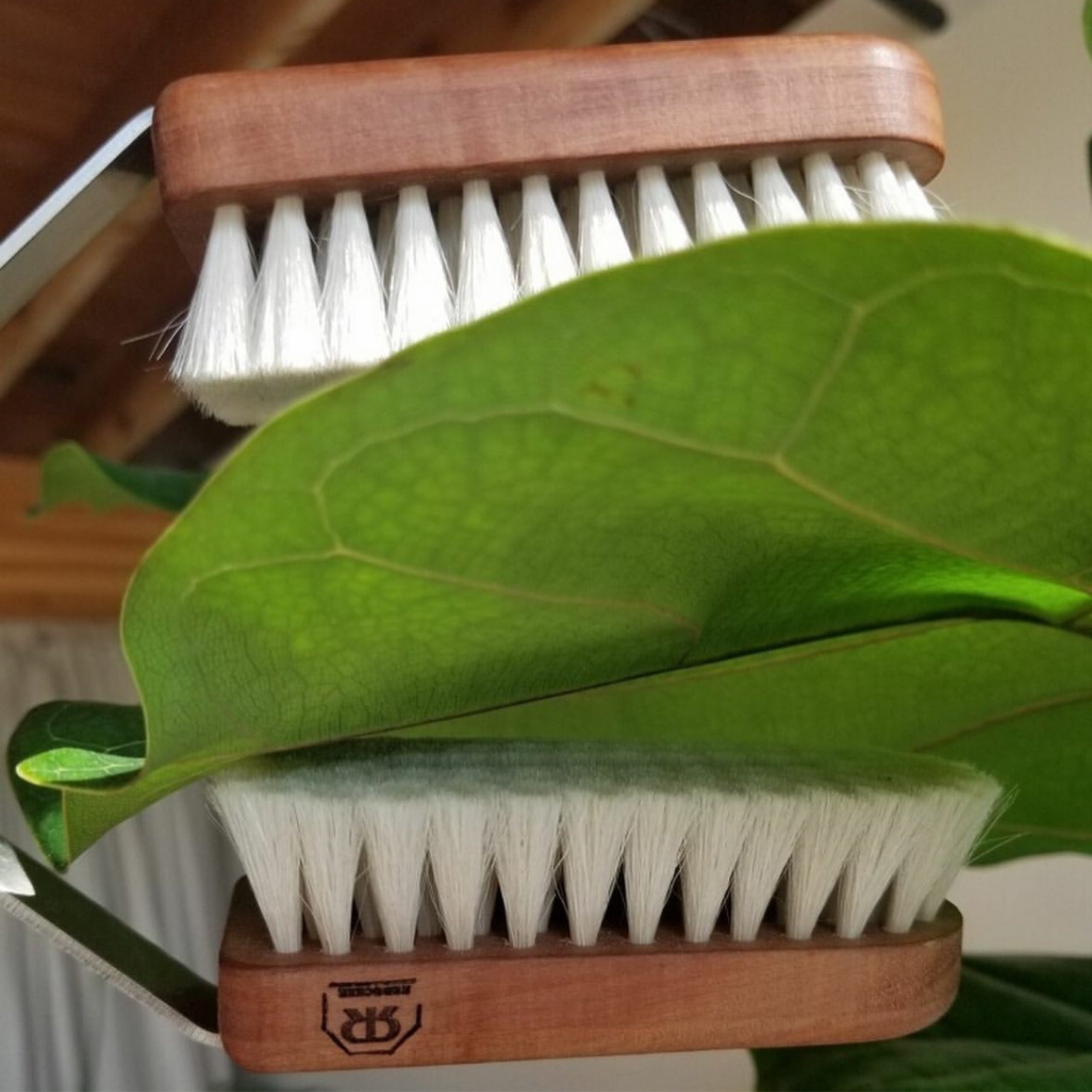 House Plant Leaves Brush